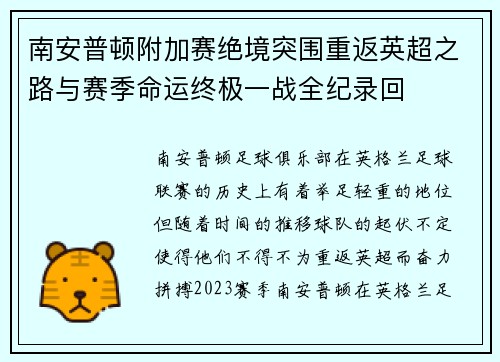 南安普顿附加赛绝境突围重返英超之路与赛季命运终极一战全纪录回 南安普顿附加赛绝境突围重返英超之路与赛季命运终极一战全纪录回